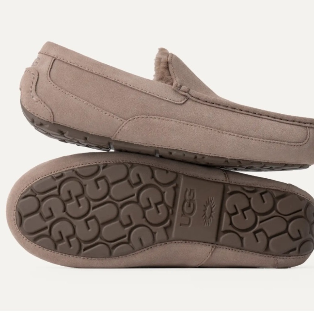 Ugg Ascot Slip on for Men